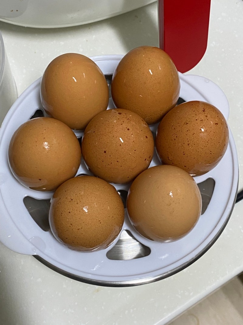 반숙을 위한 다씀 계란찜기 추천 삶은 달걀 편하게 만들기