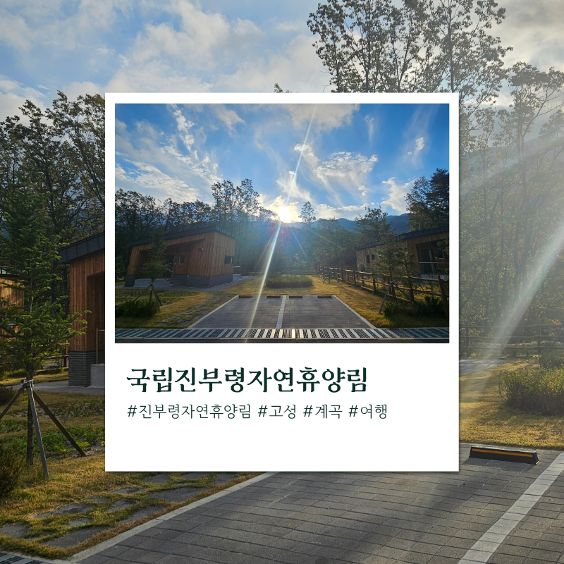 강원도 고성 국립진부령 자연휴양림 대관령 숲속의 집 힐링 여행