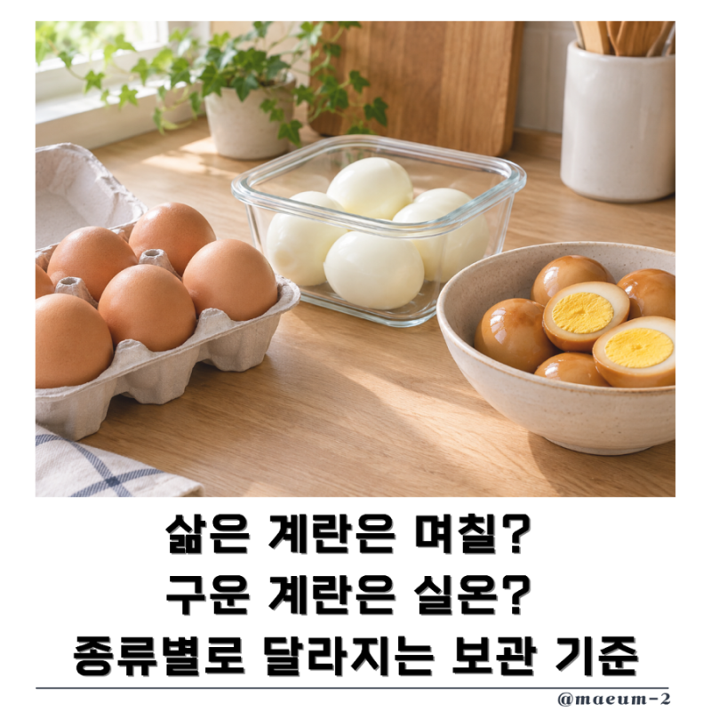 계란 보관법, 삶은 계란·구운 계란 냉장 보관과 기간 알아보기