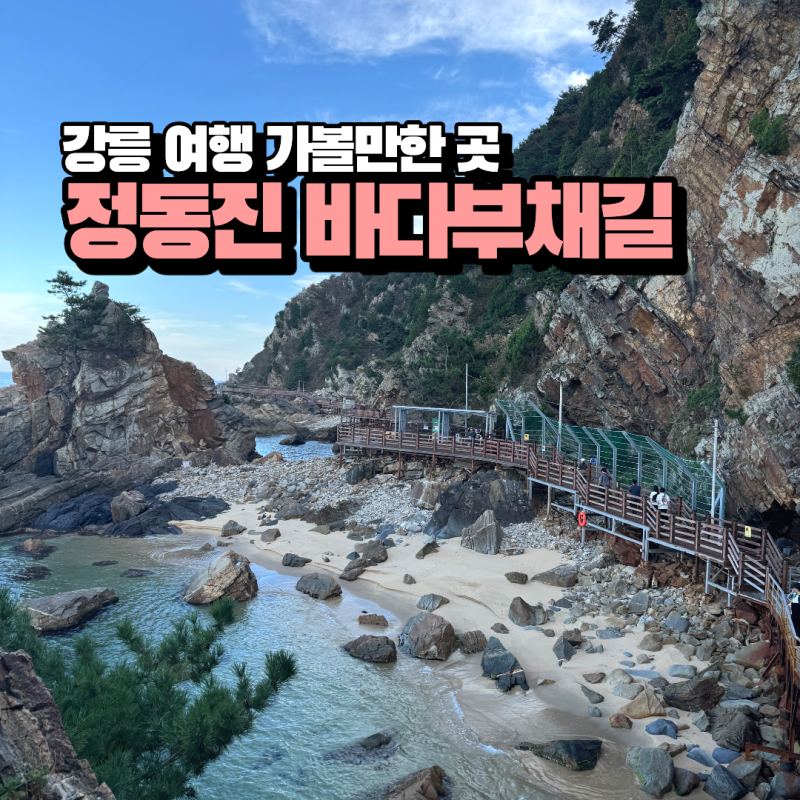강릉 정동진 정동심곡 바다부채길 꿀팁 야간개장 할인 정보