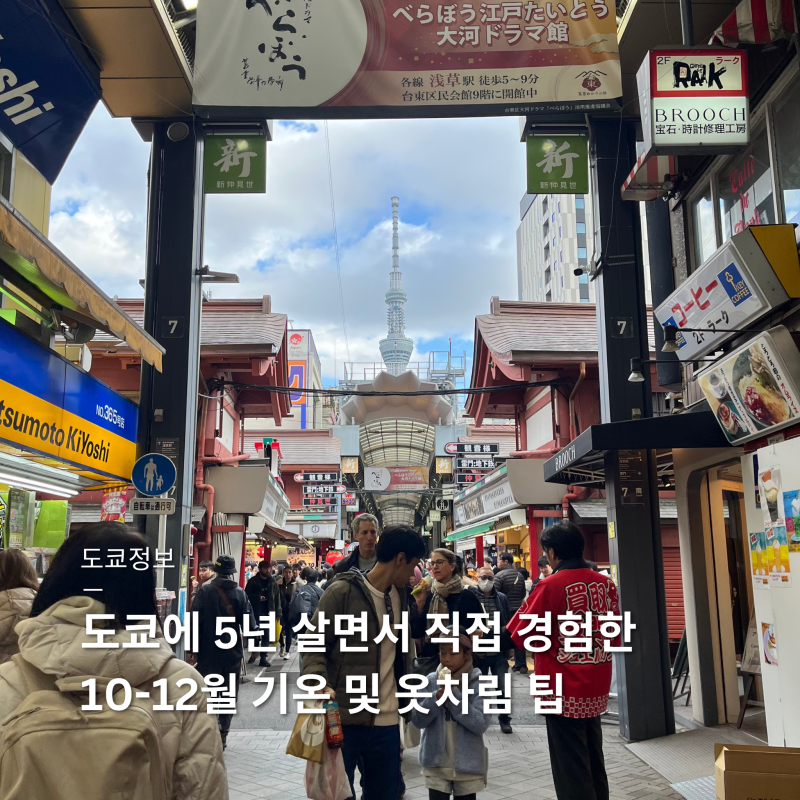 구 도쿄 주민이 사진과 함께 설명하는 도쿄 10월 11월 12월 기온 날씨 및 옷차림 팁
