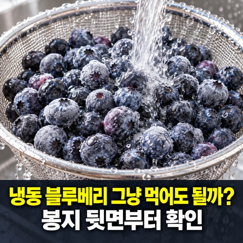 냉동 블루베리 세척 꼭 해야 할까? 봉지 뒷면 '이 단어'와 '1분'의 이유
