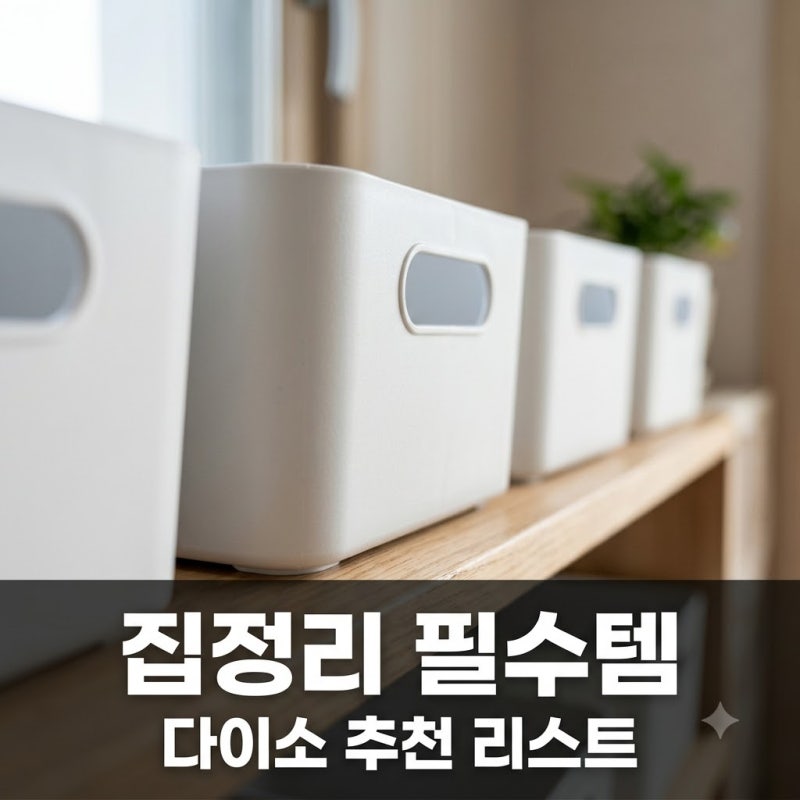 집정리 필수아이템 다이소 추천 리스트 10가지와 공간 활용 꿀팁