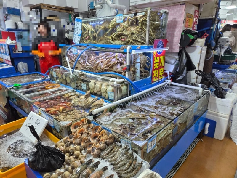 노량진수산시장 숫꽃게 생새우 시세 가격