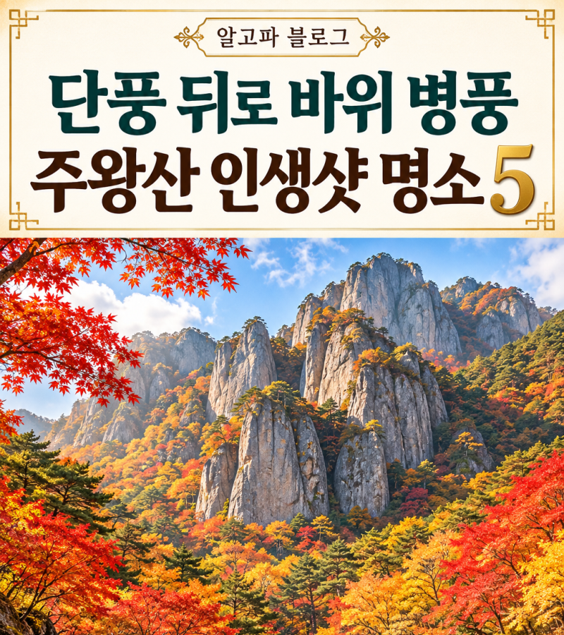 주왕산 단풍 인생샷 명소 5곳｜대전사·용추폭포·절골계곡