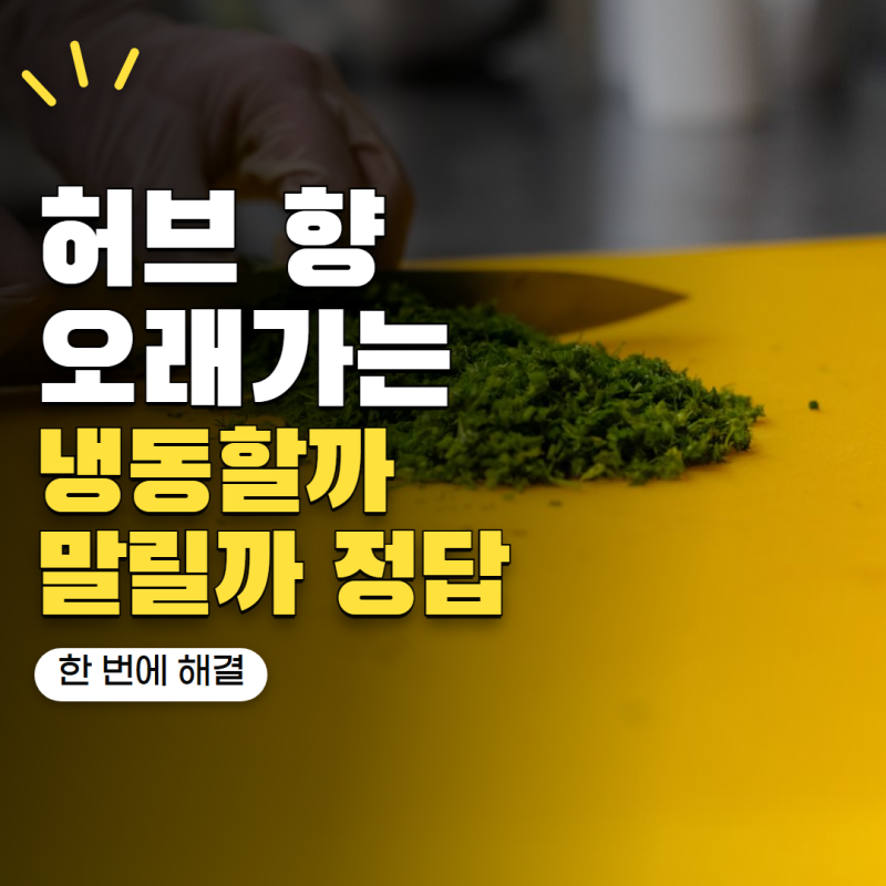 허브 향 오래 보관하려면 냉동할까 말릴까? 로즈마리·바질·민트 보관법 비교