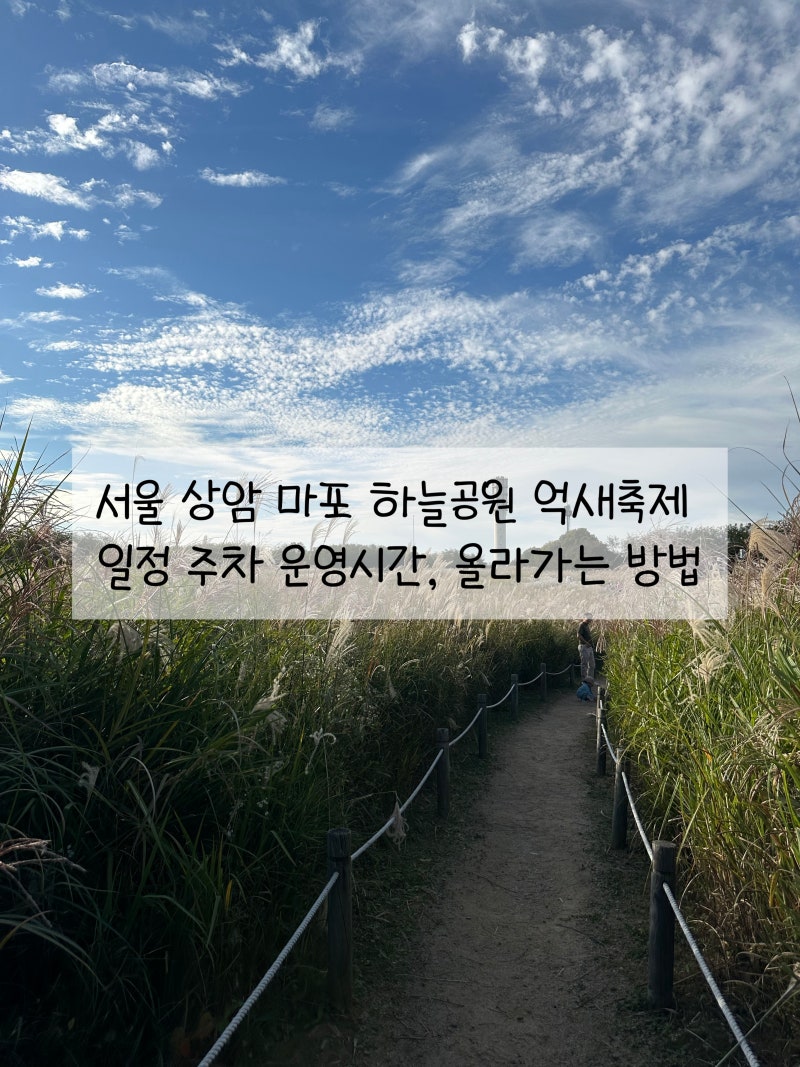 서울 상암 마포 하늘공원 억새축제 일정 주차 운영시간 올라가는 방법