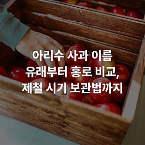 아리수 사과 이름 유래부터 홍로 비교, 제철 시기 보관법까지