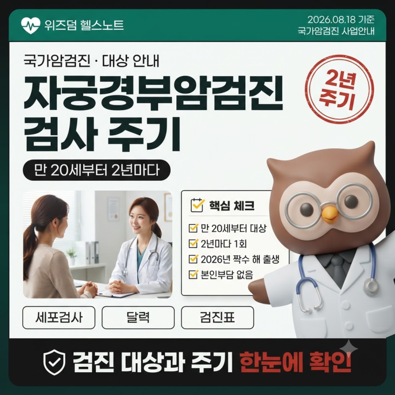 자궁경부암검진 검사 주기와 대상, 만 20세·출생연도·본인부담·세포검사
