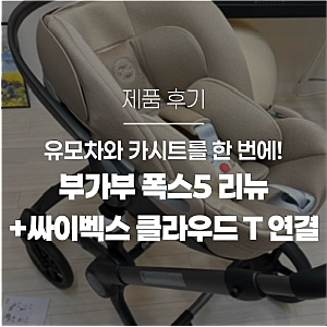 부가부 폭스5 리뉴 유모차 카시트 호환 정보와 트래블시스템 후기