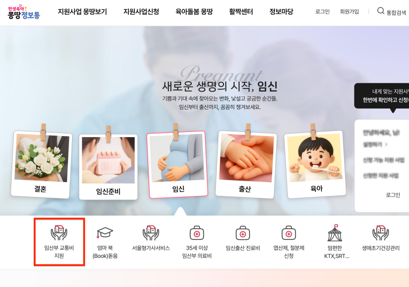 서울 임산부 교통비 지원 신청방법, 사용기간 / 택시·주유소 잔액 확인
