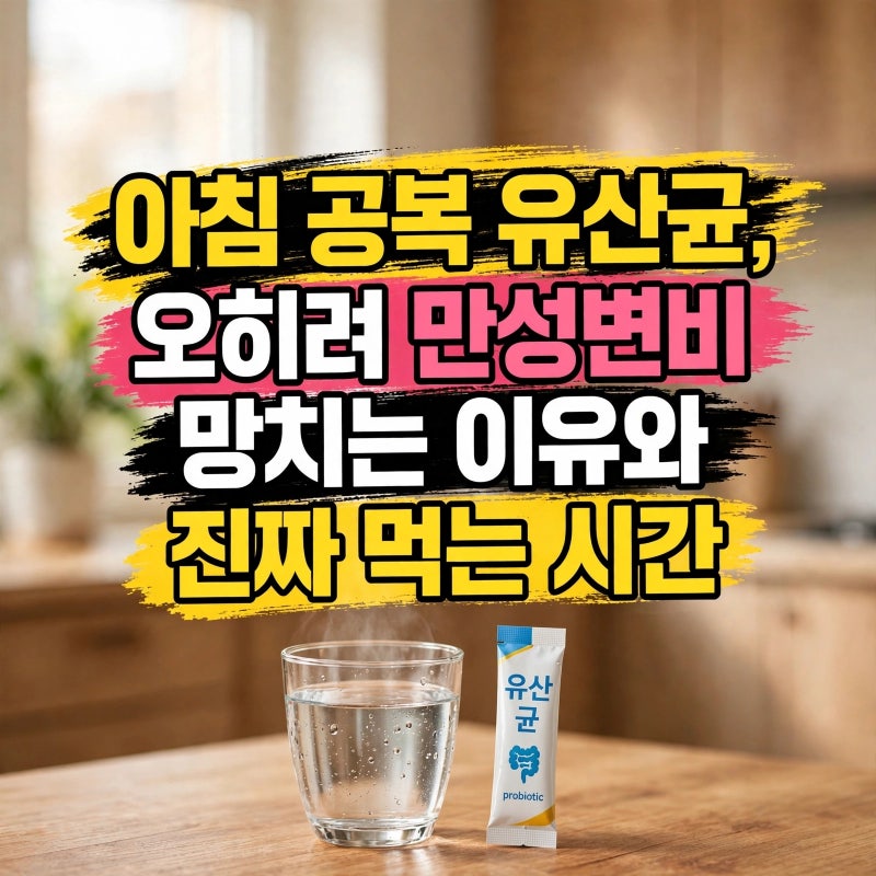 "아침 공복 유산균, 오히려 만성변비 망치는 이유와 진짜 먹는 시간대"