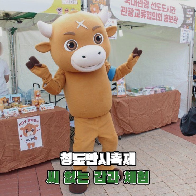 <b>청도반시축제</b> 2026, 씨 없는 감과 체험·먹거리 안내