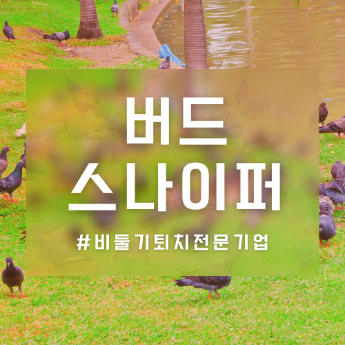 건물 실외기실 비둘기똥청소 비둘기퇴치망 설치(청주 요양병원 후기)