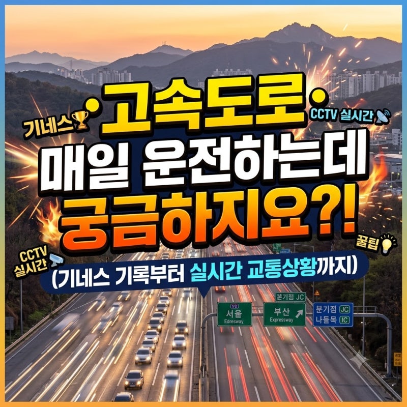 고속도로 매일 운전하는데 궁금하지요?(실시간 교통상황부터 기네스 기록까지)