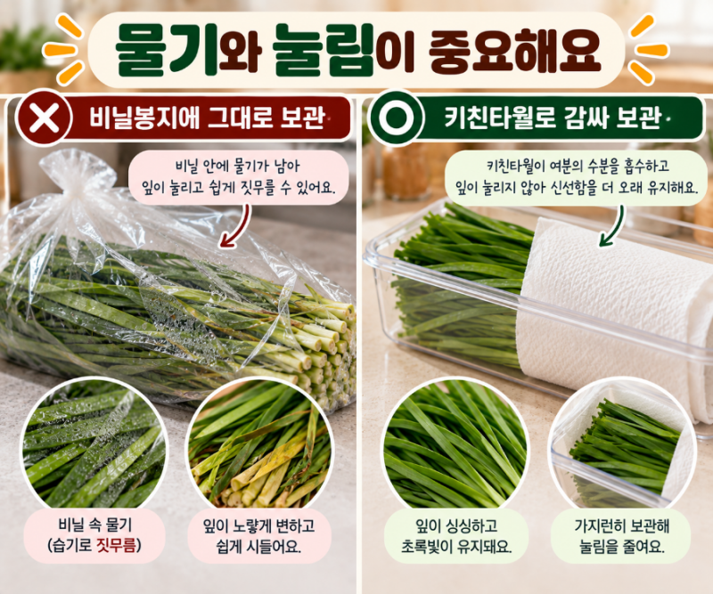 부추 보관법, 냉장과 냉동 중 뭐가 좋을까? 시들지 않게 오래 보관하는 방법