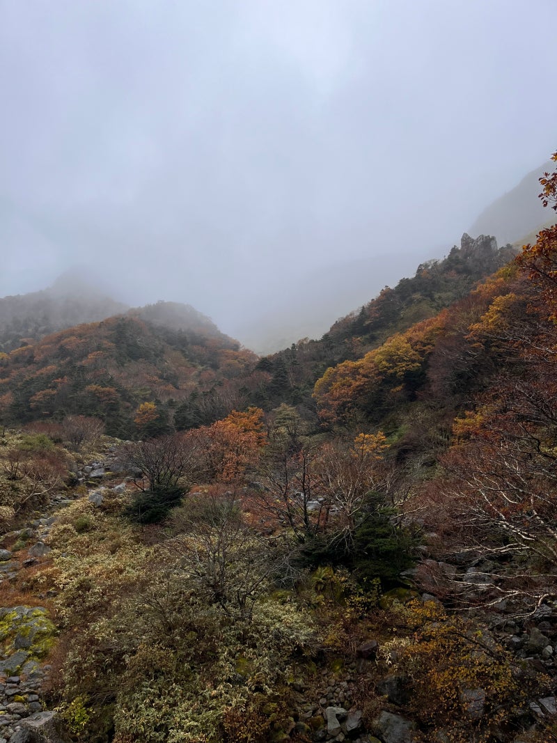 제주 당일치기 여행｜비 내리던 한라산 관음사 등산 후기