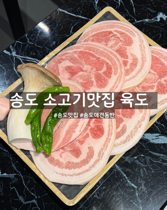 [송도맛집]송도 애견동반 소고기 맛집 추천 육도 송도점
