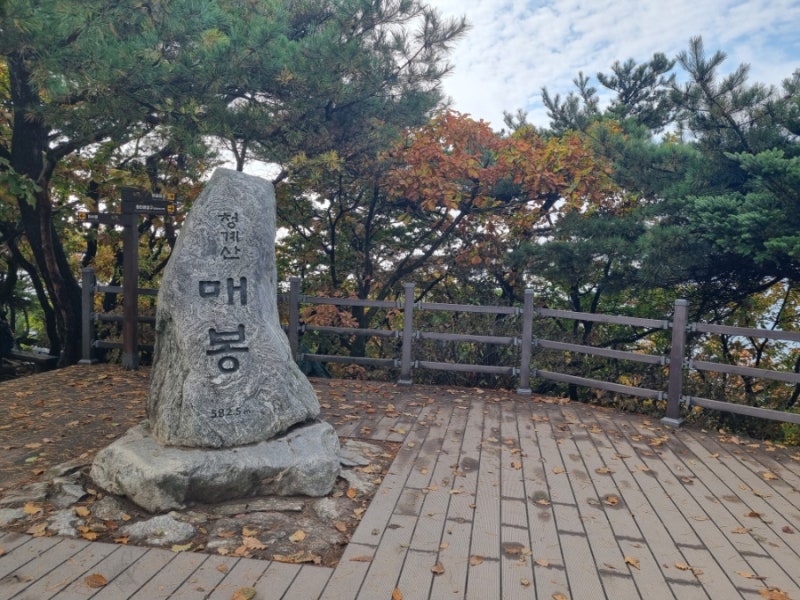 [100대 명산] 청계산 매봉 가을 산행 (원터골 등산 코스, 주차정보)