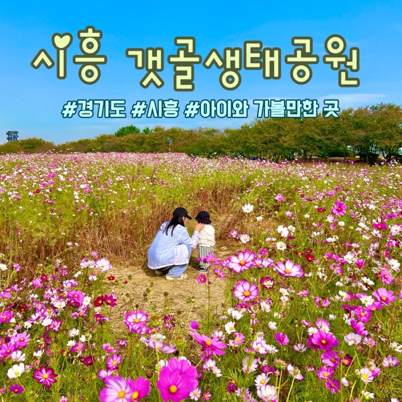 경기 아이와 가볼만한 곳 | 시흥 갯골생태공원 아이와 가을 나들이 후기(주차, 수유실, 그늘....