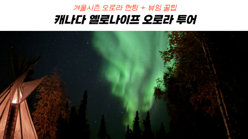 캐나다 옐로나이프 오로라 투어 가격 + 겨울시즌 일정 준비 꿀팁 총정리