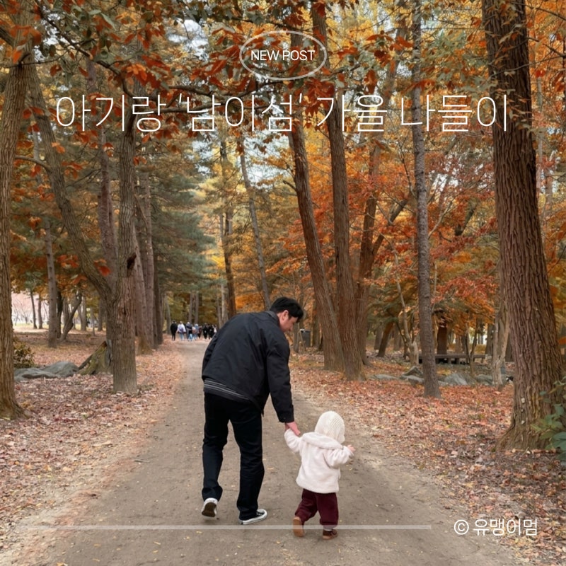 남이섬 아기랑 가을 나들이 | 입장권 가격 할인·배 시간·주차·수유실·추천 코스