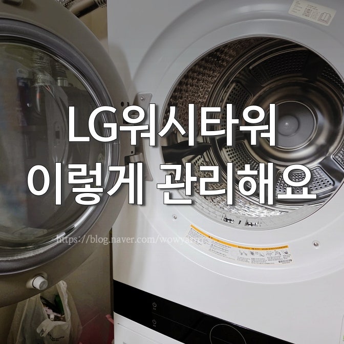 한달에 한 번 LG 워시타워 청소｜건조기 콘덴서 케어까지