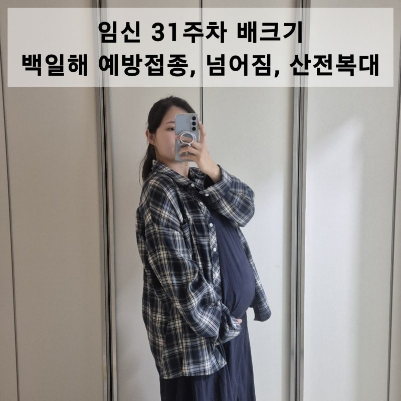 임신 31주차 배크기 | 동탄제일병원 백일해 예방접종, 임산부 넘어짐 ,산전복대 추천, 마지막 ....