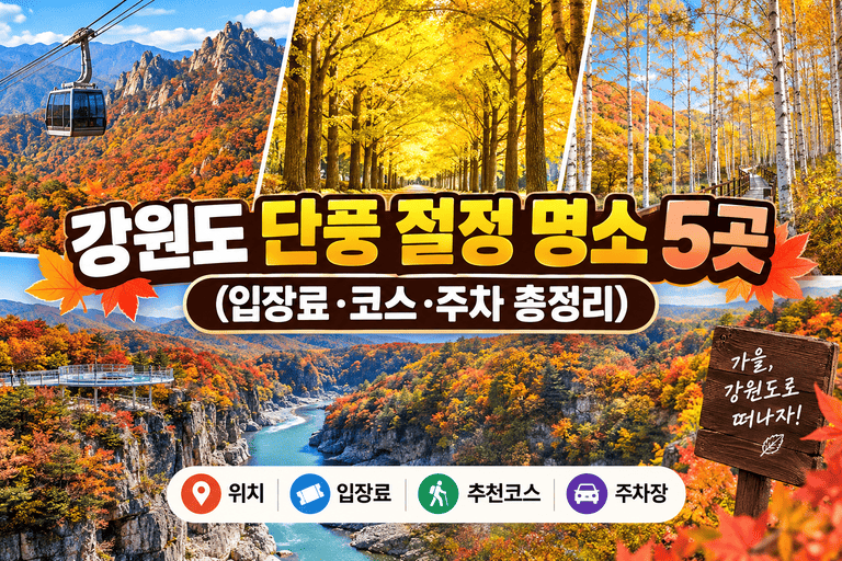 강원도 단풍 절정 명소 5곳 (입장료·코스·주차 총정리)
