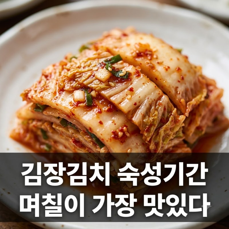 김장김치 숙성기간 며칠이 가장 맛있을까 보관온도 정리