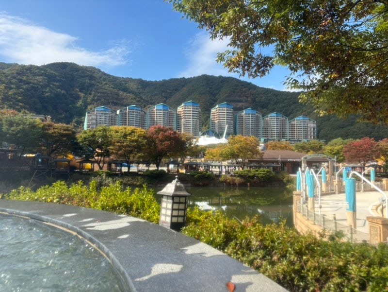 [홍천] 오션월드 10월 후기