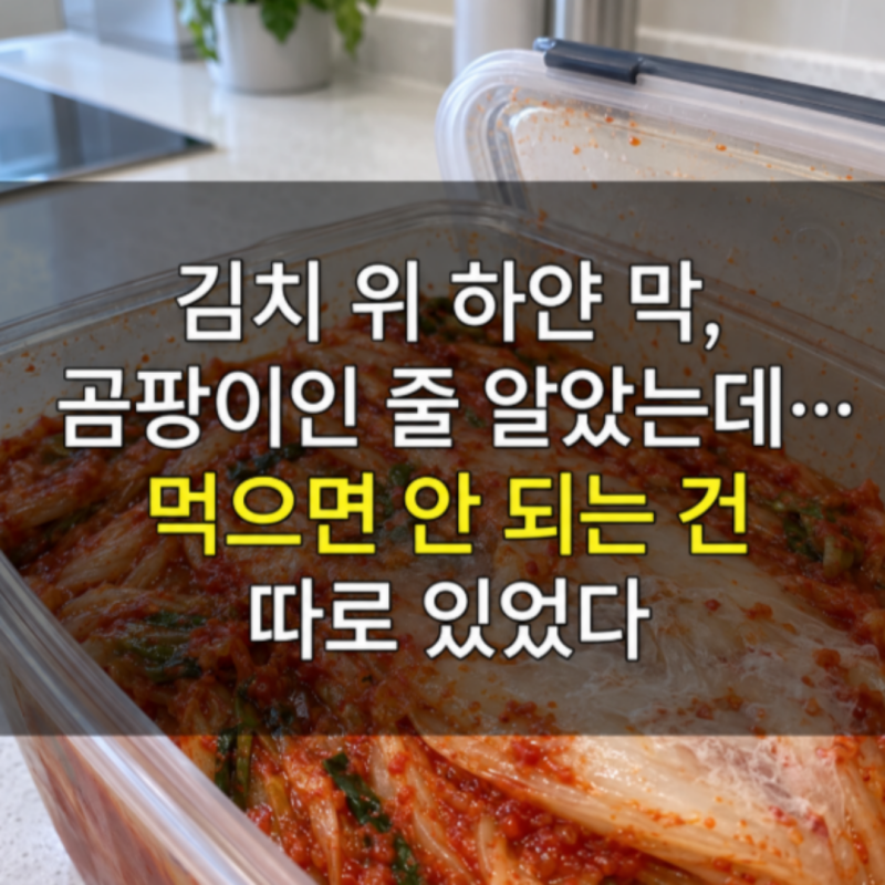 "김치 위 하얀 막, 곰팡이인 줄 알았는데.." 먹으면 안 되는 건 따로 있었네