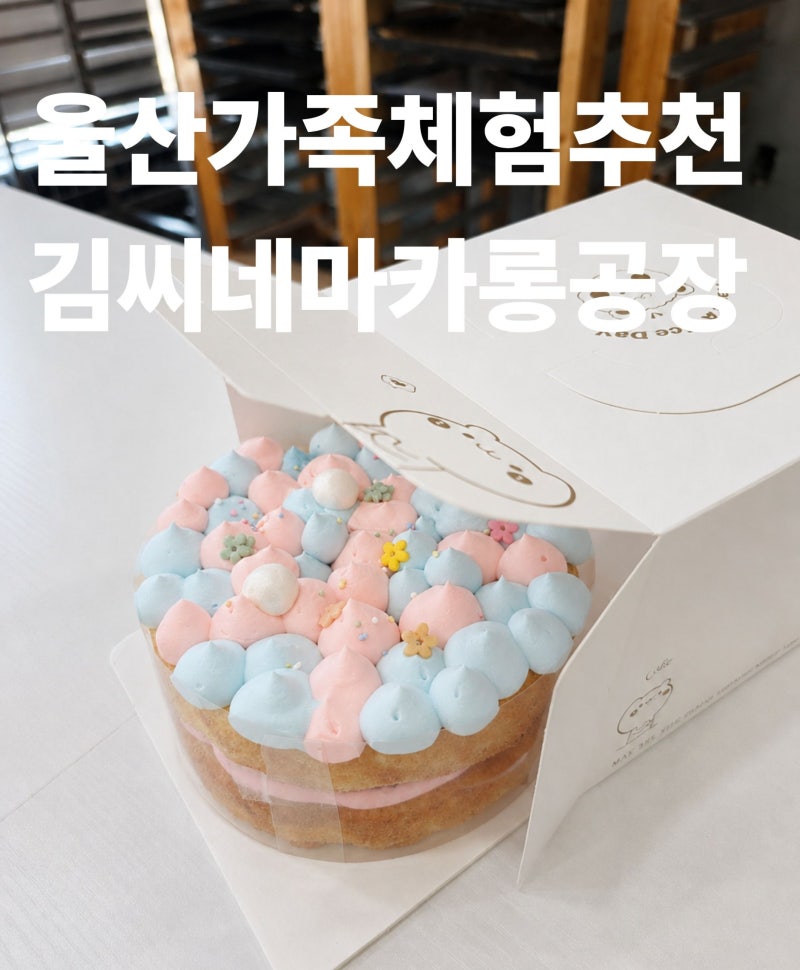 울산 가족 체험 추천! 아이도 어른도 즐거운 케이크 만들기