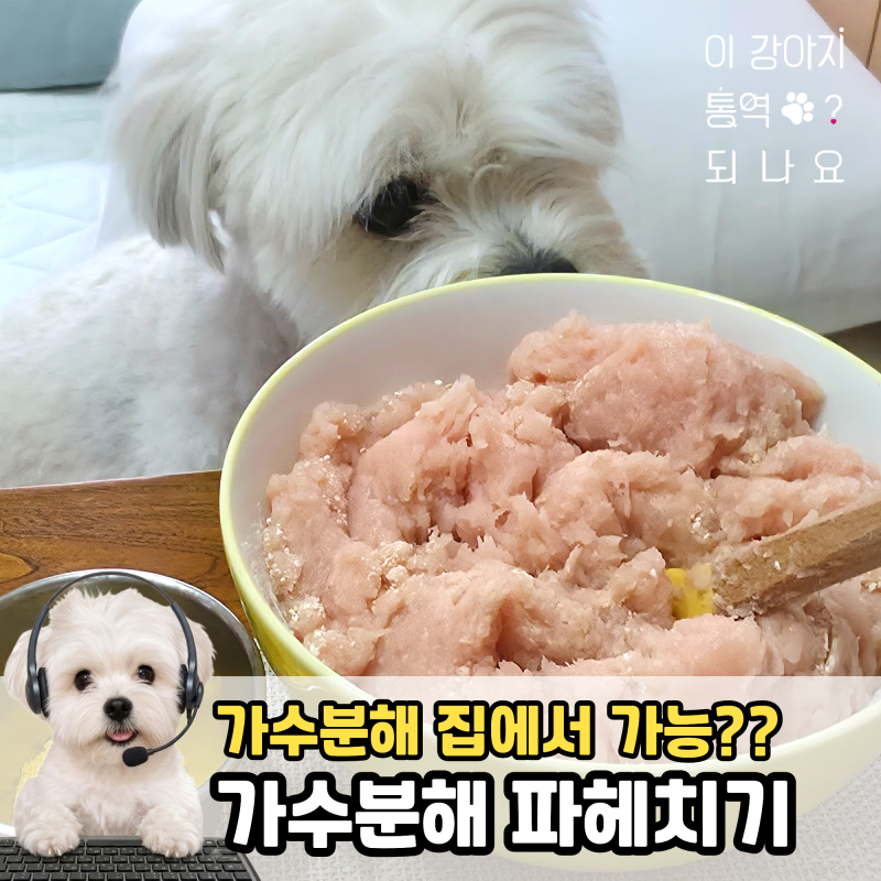 강아지 사료 가수분해가 정확히 뭔가요? 집에서 할 수 있나요?