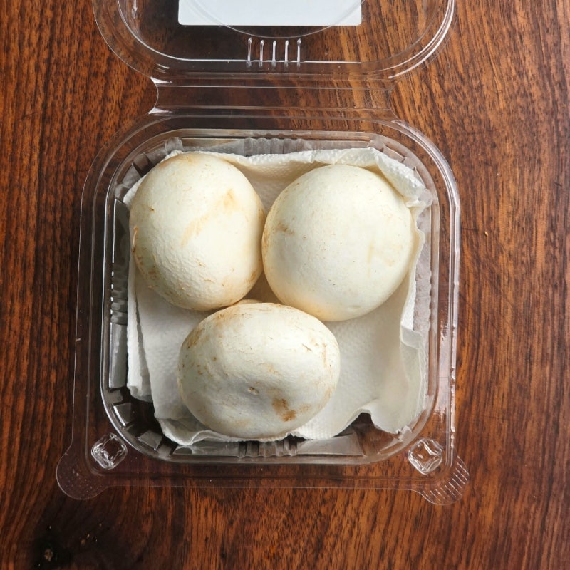 양송이버섯 보관법, 냉장 냉동 핵심 포인트