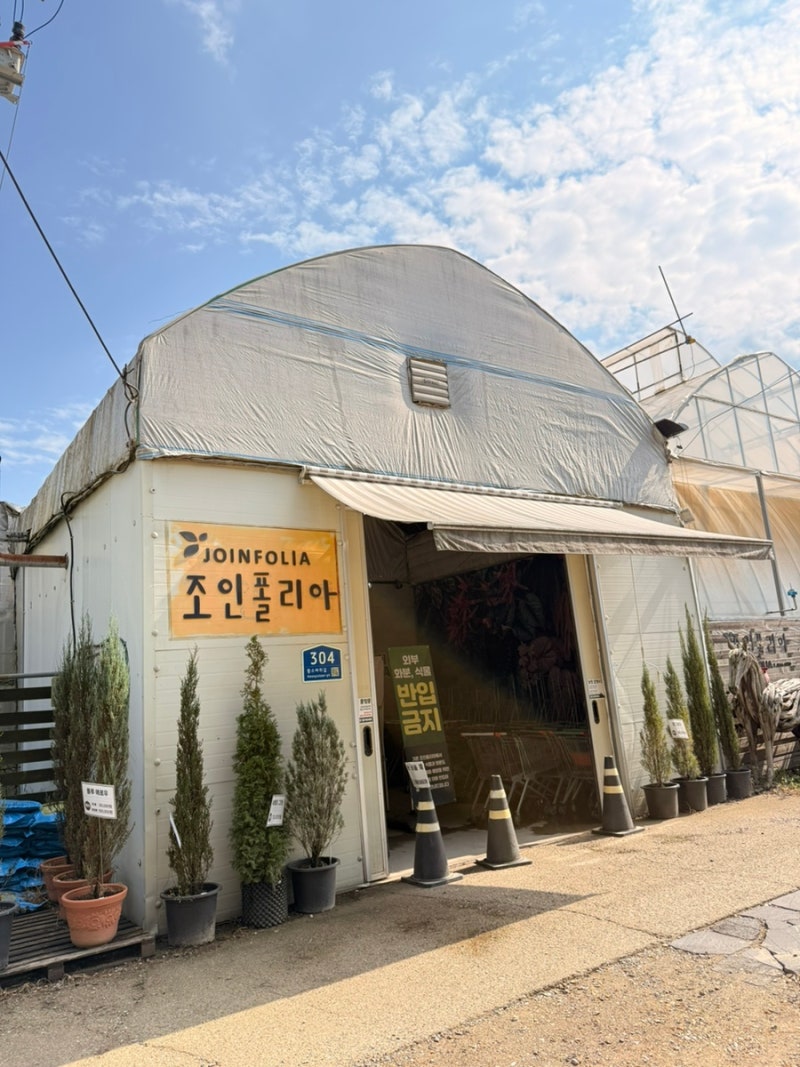 파주 조인폴리아 식집사라면 꼭 가봐야 할 대형 화훼 단지