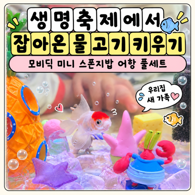 생명축제에서 잡아온 물고기 키우기｜모비딕 미니 스폰지밥 어항 풀세트 후기