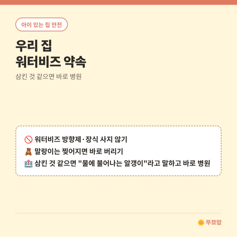 우리 집 '말랑이' 장난감, 한 번 꾹 눌러 보세요 (워터비즈 찾기 10분 점검)