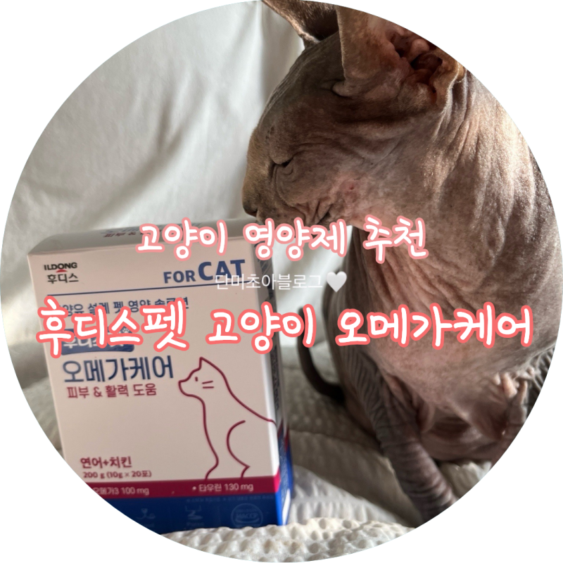 후디스펫 고양이 오메가케어 후기, 피부피모 건강을 위한 오메가3 츄르 영양제 추천