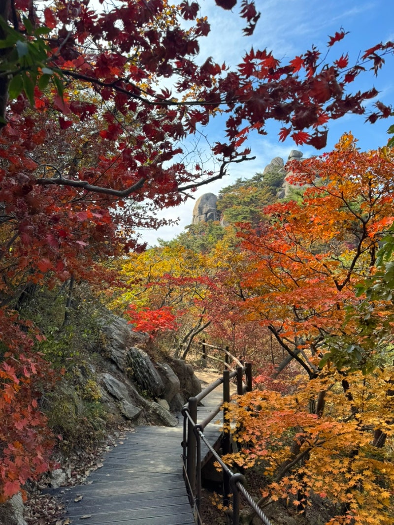북한산 횡종주 후기 | 2026 북한산 단풍 현황, 코스 정보 및 소요시간, 거리