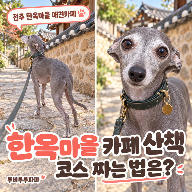 전주 애견동반 카페 한옥마을, 산책 코스와 함께 짜요