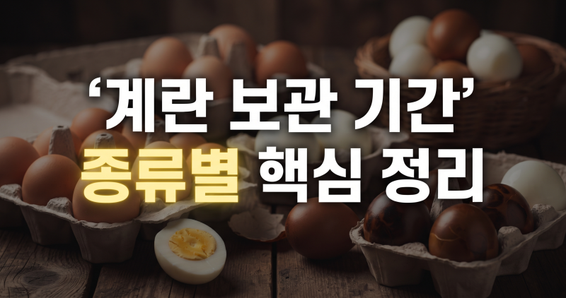 삶은계란 구운계란 맥반석란 유통기한과 올바른 보관법 총정리