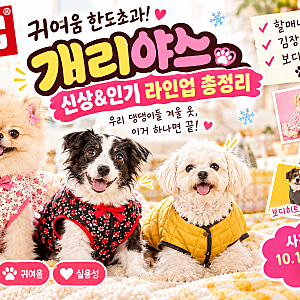 귀여움 한도초과! BYC 개리야스 신상&인기 라인업 총정리 (할매내복·김장조끼·보디히트)