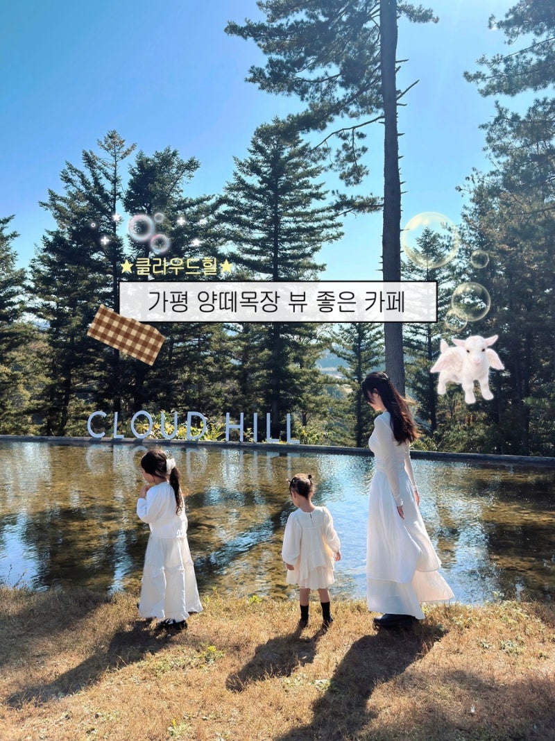 ♡가평양떼목장♡가평 아이와 가볼만한곳 가평양떼목장 두번째 방문한 먹이주기체험 클라....