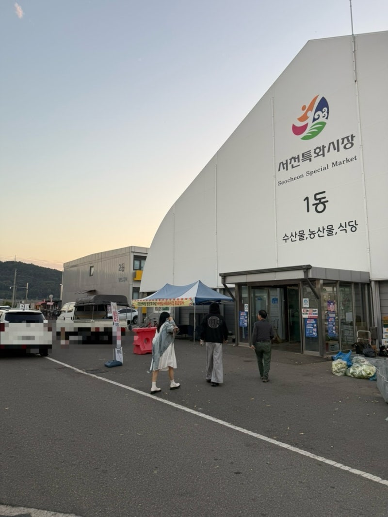 충남 서천 시장 수산시장 회포장 가성비 좋은 회 시장 ; 서천특화시장 후기