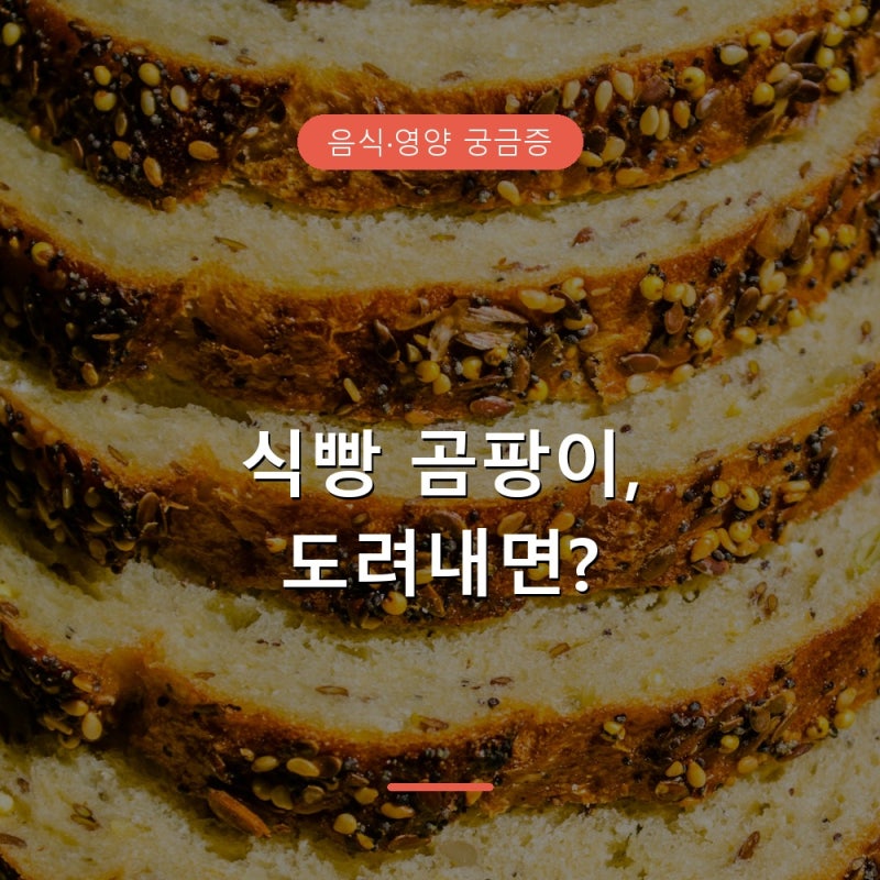 식빵 곰팡이 핀 부분만 도려내고 먹어도 될까, 식약처 안내