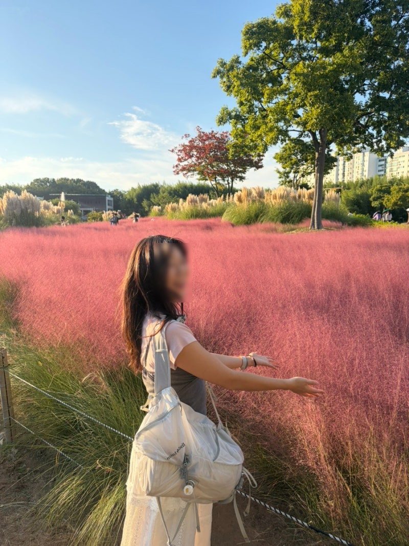 10월 울산 가볼만한 곳 꽃구경 태화강국가정원 핑크뮬리 위치 주차 피크닉 후기