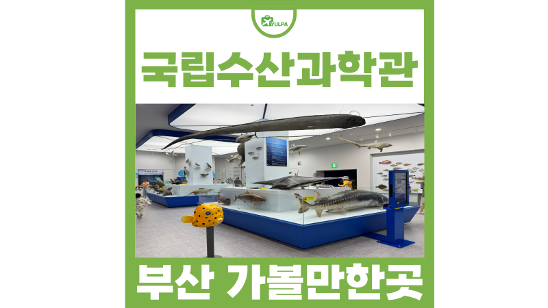 부산 기장 아이와 가볼만한곳 국립수산과학원 수산과학관