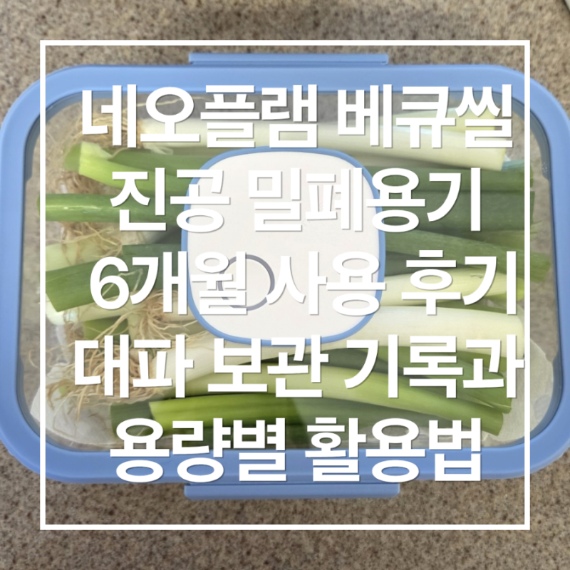 네오플램 베큐씰 진공 밀폐용기 6개월 후기｜대파 보관 기록과 용량별 활용법