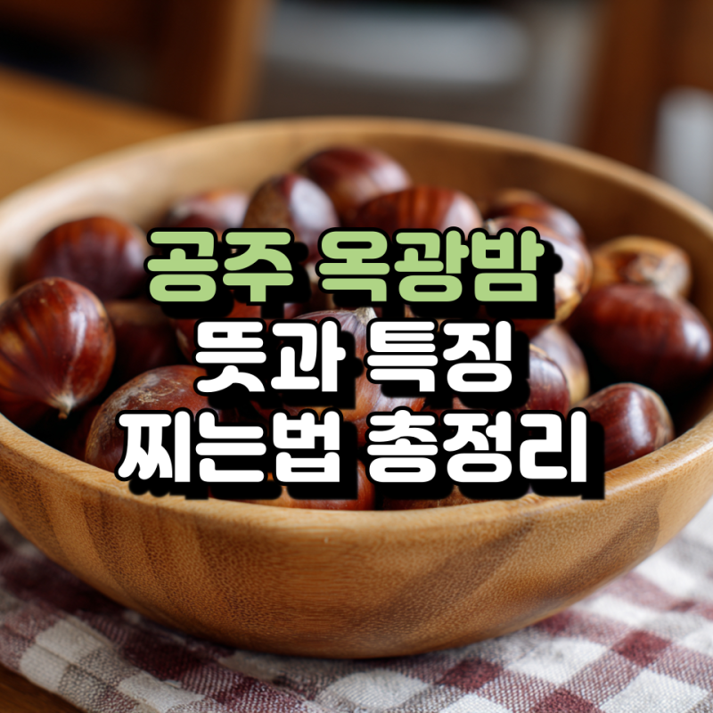 공주 옥광밤 뜻과 특징, 에어프라이어, 전자레인지로도 찌는법